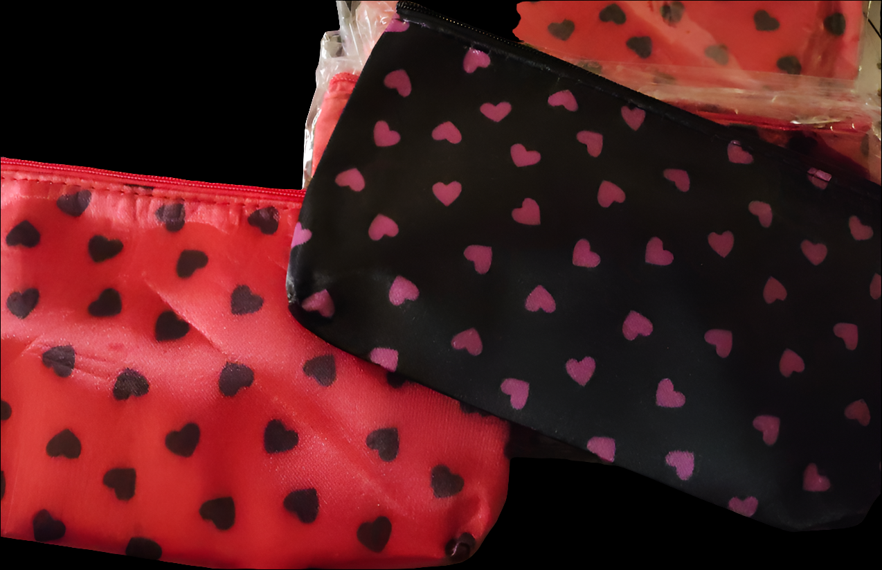Makeup/Pencil bag