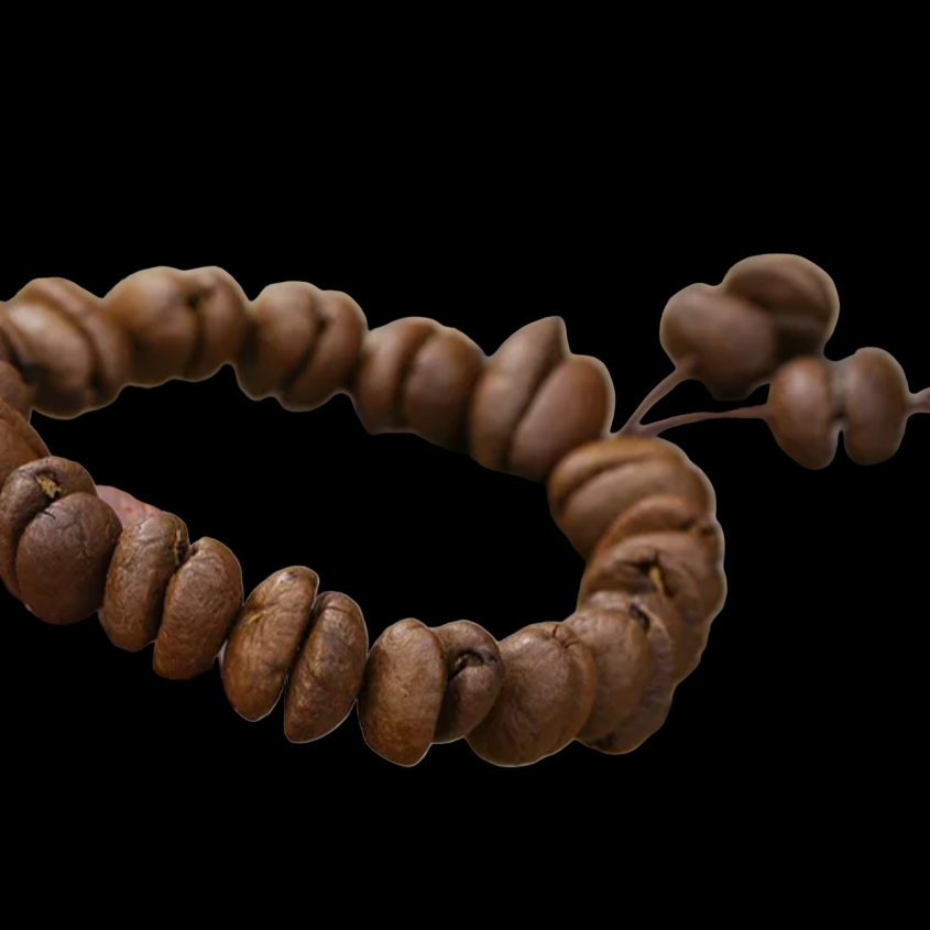 Aromatherapy Bracelet
