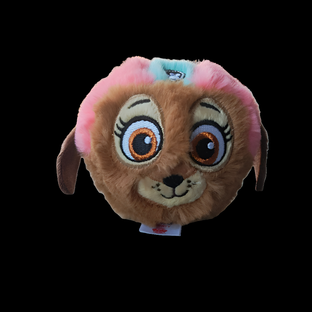 Paw Patrol