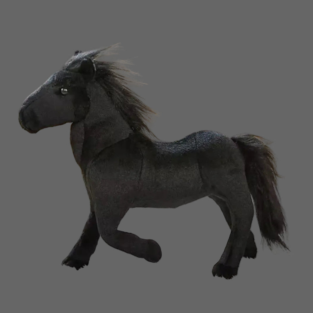 Ponys